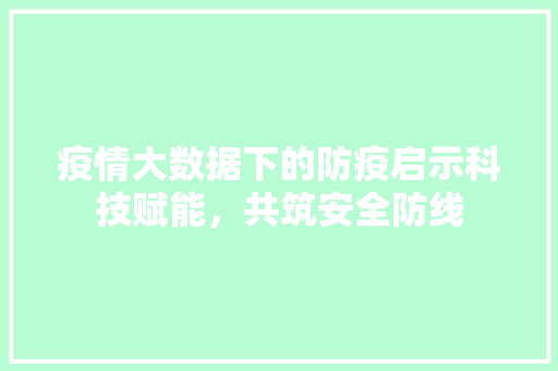 疫情大数据下的防疫启示科技赋能，共筑安全防线