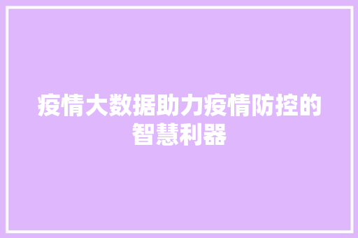 疫情大数据助力疫情防控的智慧利器