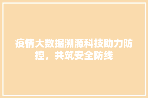 疫情大数据溯源科技助力防控，共筑安全防线