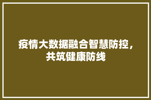 疫情大数据融合智慧防控，共筑健康防线