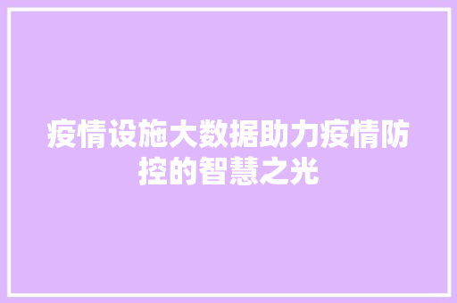 疫情设施大数据助力疫情防控的智慧之光