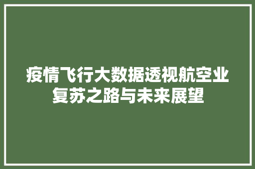 疫情飞行大数据透视航空业复苏之路与未来展望