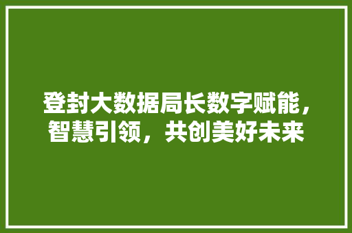 登封大数据局长数字赋能，智慧引领，共创美好未来