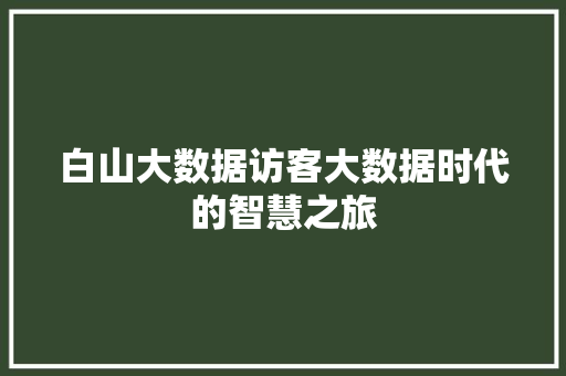 白山大数据访客大数据时代的智慧之旅