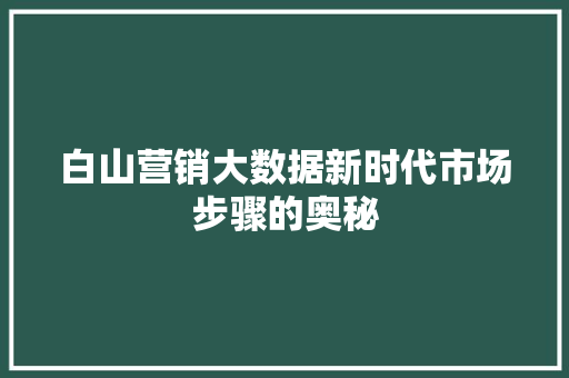 白山营销大数据新时代市场步骤的奥秘