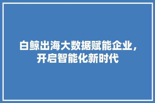 白鲸出海大数据赋能企业，开启智能化新时代