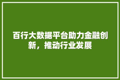 百行大数据平台助力金融创新，推动行业发展