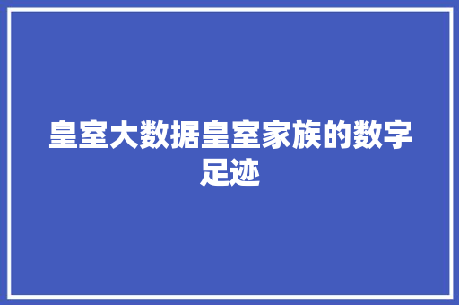 皇室大数据皇室家族的数字足迹