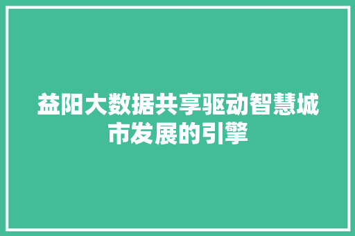 益阳大数据共享驱动智慧城市发展的引擎