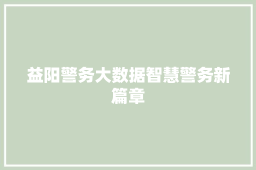 益阳警务大数据智慧警务新篇章