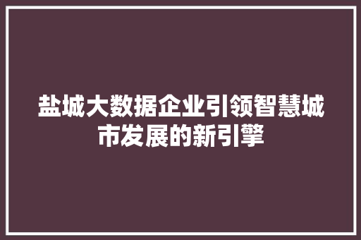 盐城大数据企业引领智慧城市发展的新引擎 建站教程