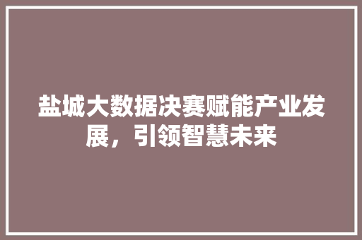 盐城大数据决赛赋能产业发展，引领智慧未来