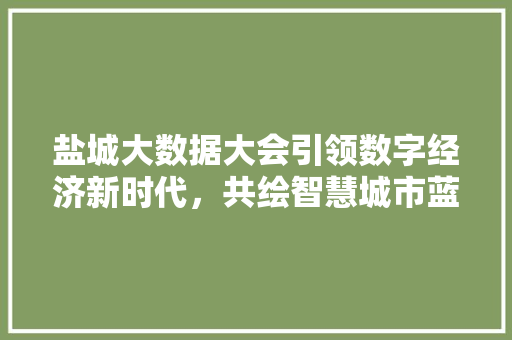 盐城大数据大会引领数字经济新时代，共绘智慧城市蓝图