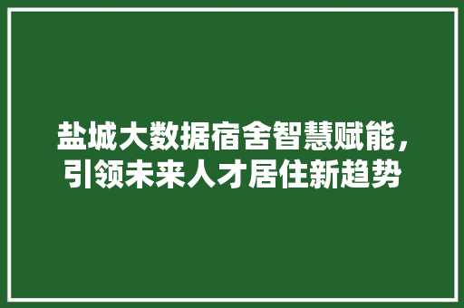 盐城大数据宿舍智慧赋能，引领未来人才居住新趋势