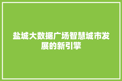 盐城大数据广场智慧城市发展的新引擎