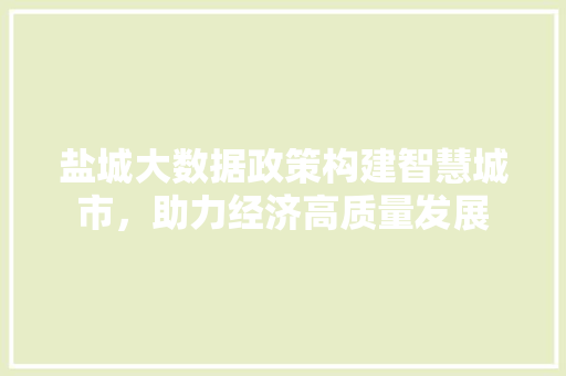 盐城大数据政策构建智慧城市，助力经济高质量发展