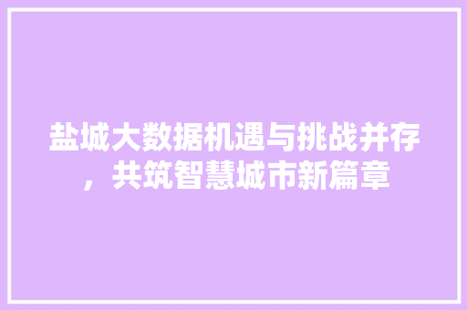 盐城大数据机遇与挑战并存，共筑智慧城市新篇章