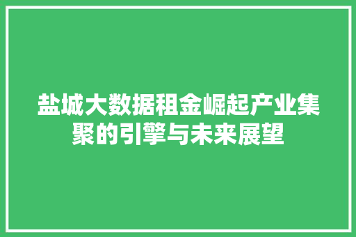 盐城大数据租金崛起产业集聚的引擎与未来展望 建站教程