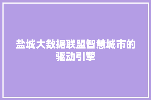 盐城大数据联盟智慧城市的驱动引擎