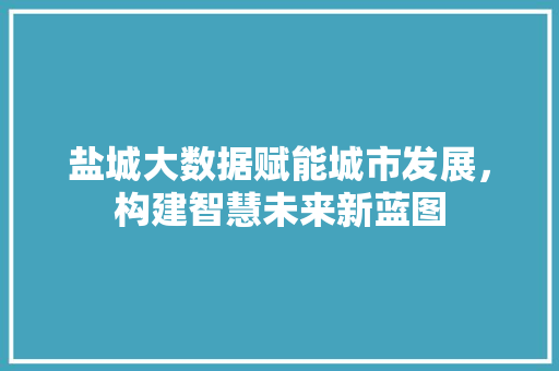 盐城大数据赋能城市发展，构建智慧未来新蓝图