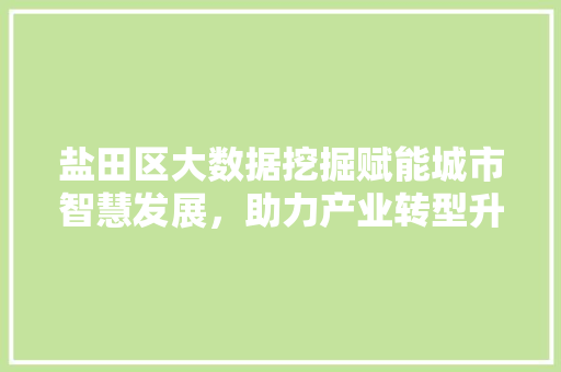 盐田区大数据挖掘赋能城市智慧发展，助力产业转型升级 Web前端