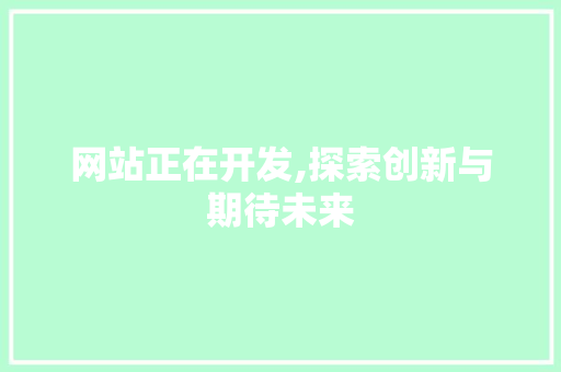 网站正在开发,探索创新与期待未来