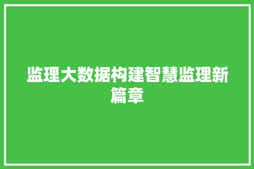 监理大数据构建智慧监理新篇章