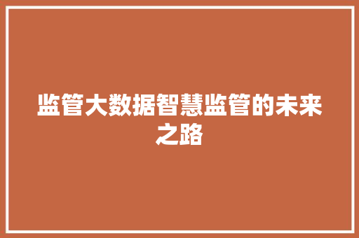 监管大数据智慧监管的未来之路