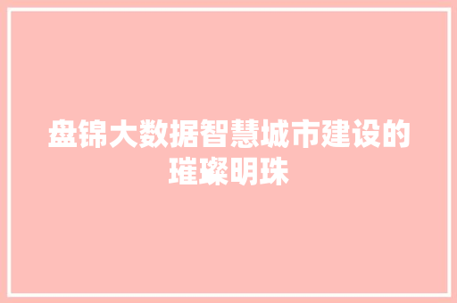 盘锦大数据智慧城市建设的璀璨明珠