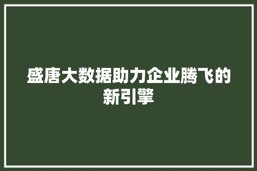 盛唐大数据助力企业腾飞的新引擎