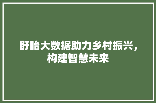 盱眙大数据助力乡村振兴，构建智慧未来