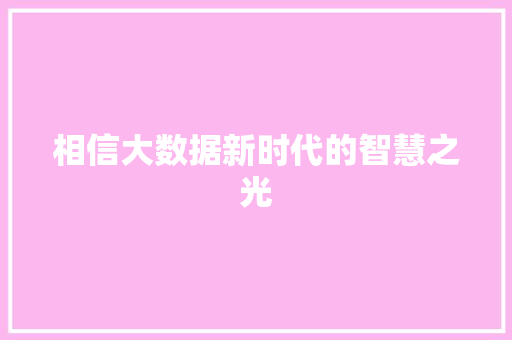 相信大数据新时代的智慧之光