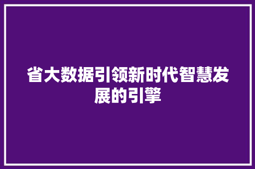省大数据引领新时代智慧发展的引擎