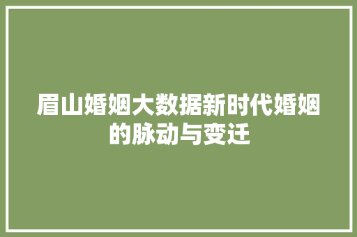 眉山婚姻大数据新时代婚姻的脉动与变迁