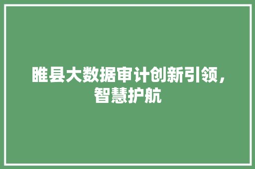 睢县大数据审计创新引领，智慧护航
