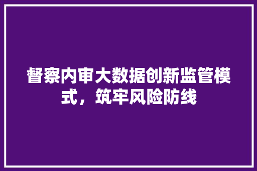 督察内审大数据创新监管模式，筑牢风险防线