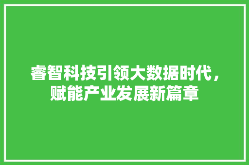 睿智科技引领大数据时代，赋能产业发展新篇章