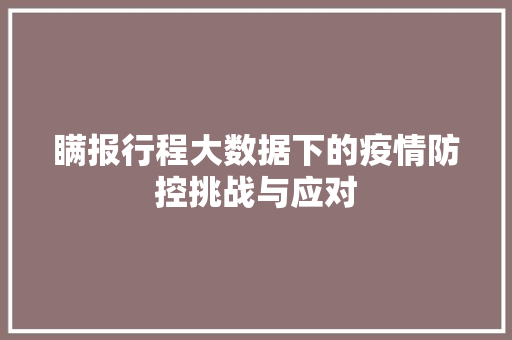 瞒报行程大数据下的疫情防控挑战与应对 Web前端
