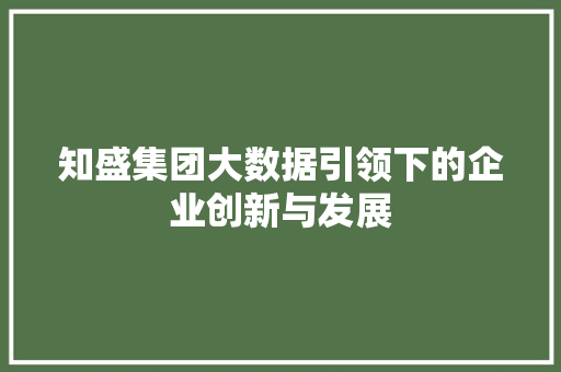 知盛集团大数据引领下的企业创新与发展