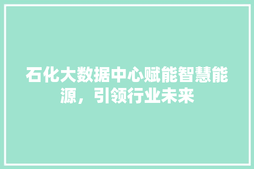 石化大数据中心赋能智慧能源，引领行业未来
