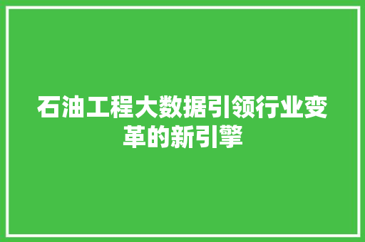石油工程大数据引领行业变革的新引擎