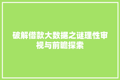 破解借款大数据之谜理性审视与前瞻探索