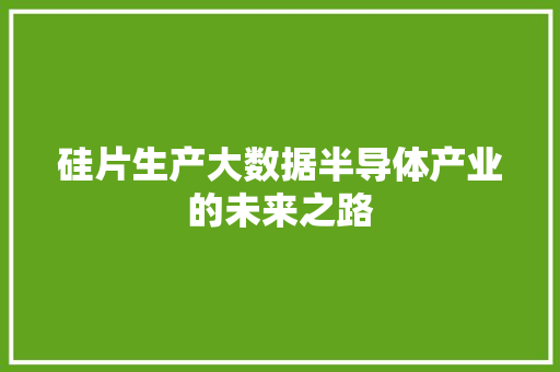 硅片生产大数据半导体产业的未来之路