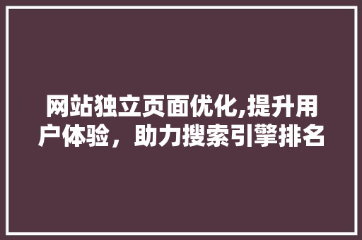 网站独立页面优化,提升用户体验，助力搜索引擎排名