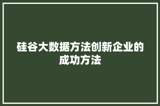 硅谷大数据方法创新企业的成功方法