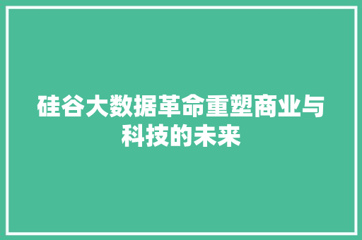 硅谷大数据革命重塑商业与科技的未来 SEO教程