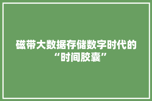 磁带大数据存储数字时代的“时间胶囊”