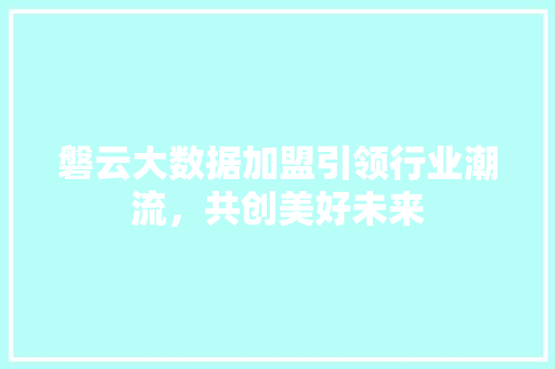 磐云大数据加盟引领行业潮流，共创美好未来