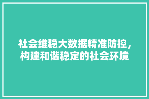 社会维稳大数据精准防控，构建和谐稳定的社会环境