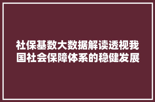 社保基数大数据解读透视我国社会保障体系的稳健发展